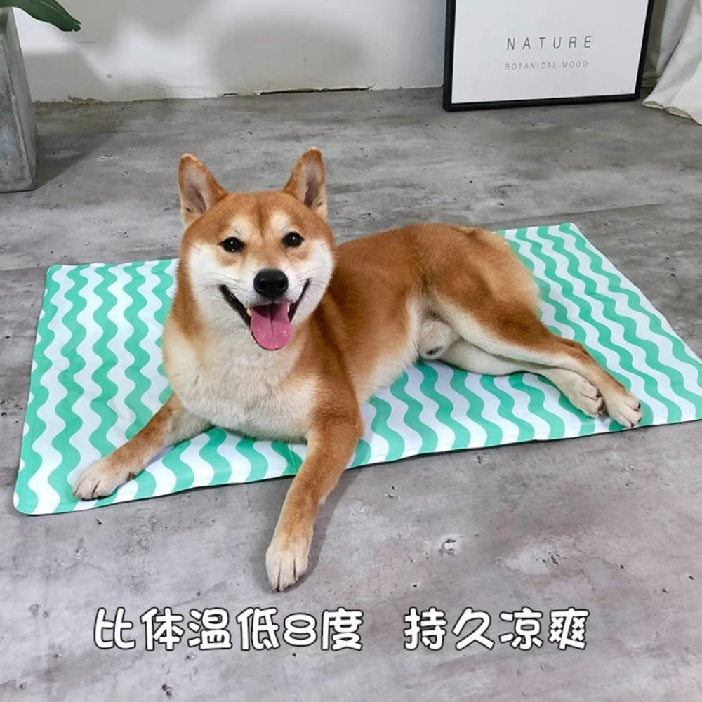 【汪喵森活】 8款 寵物涼墊 狗狗 冰墊 降溫 涼感 睡墊 柯基 法鬥 柴犬 比熊 雪納瑞 臘腸 貴賓 西高地 寵物床-規格圖11