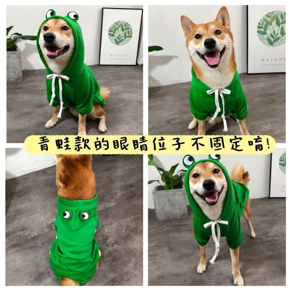 【汪喵森活】 8款 老鼠 香蕉 麋鹿 青蛙 蘿蔔 愛心 蘋果 聖誕節 寵物帽Tee 寵物服飾 狗衣服 柯基 柴犬 米克斯-細節圖5