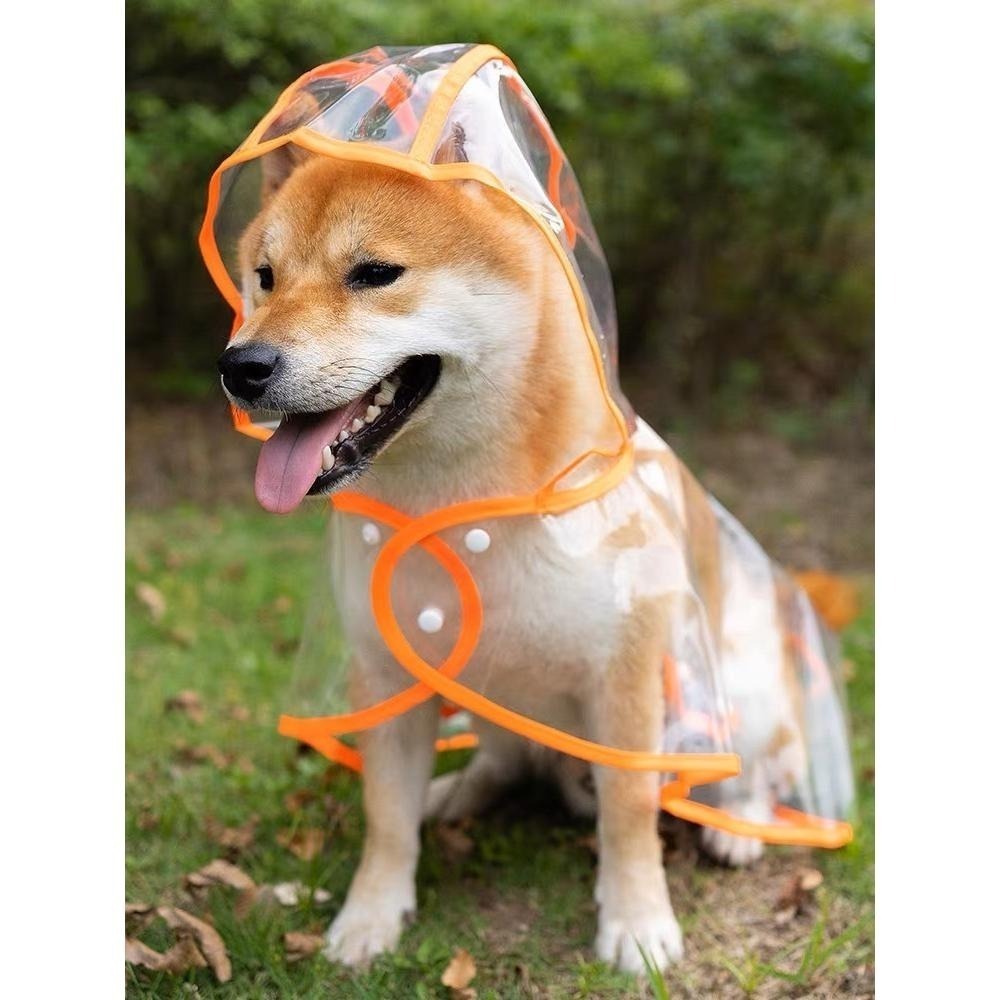 【汪喵森活】 透明寵物雨衣 2色 披風雨衣 斗篷雨衣 簡易雨衣 狗雨衣 寵物雨衣 柴犬 柯基 米克斯 邊境 法鬥 雪納瑞-細節圖5