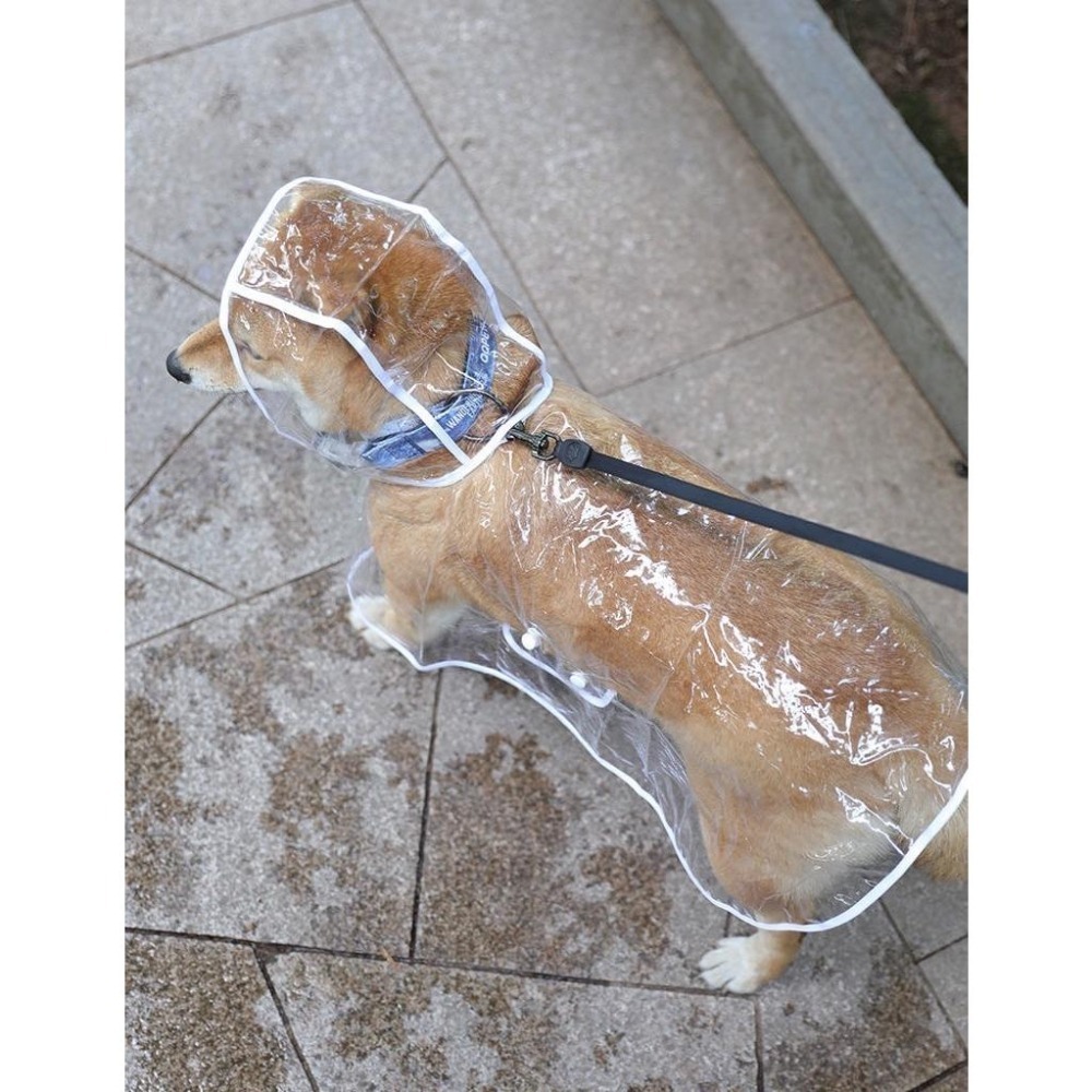 【汪喵森活】 透明寵物雨衣 2色 披風雨衣 斗篷雨衣 簡易雨衣 狗雨衣 寵物雨衣 柴犬 柯基 米克斯 邊境 法鬥 雪納瑞-細節圖8