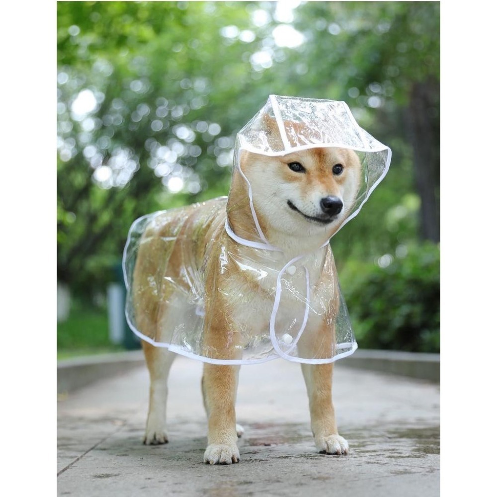 【汪喵森活】 透明寵物雨衣 2色 披風雨衣 斗篷雨衣 簡易雨衣 狗雨衣 寵物雨衣 柴犬 柯基 米克斯 邊境 法鬥 雪納瑞-細節圖9