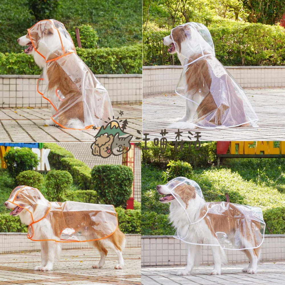 【汪喵森活】 透明寵物雨衣 2色 披風雨衣 斗篷雨衣 簡易雨衣 狗雨衣 寵物雨衣 柴犬 柯基 米克斯 邊境 法鬥 雪納瑞-細節圖10