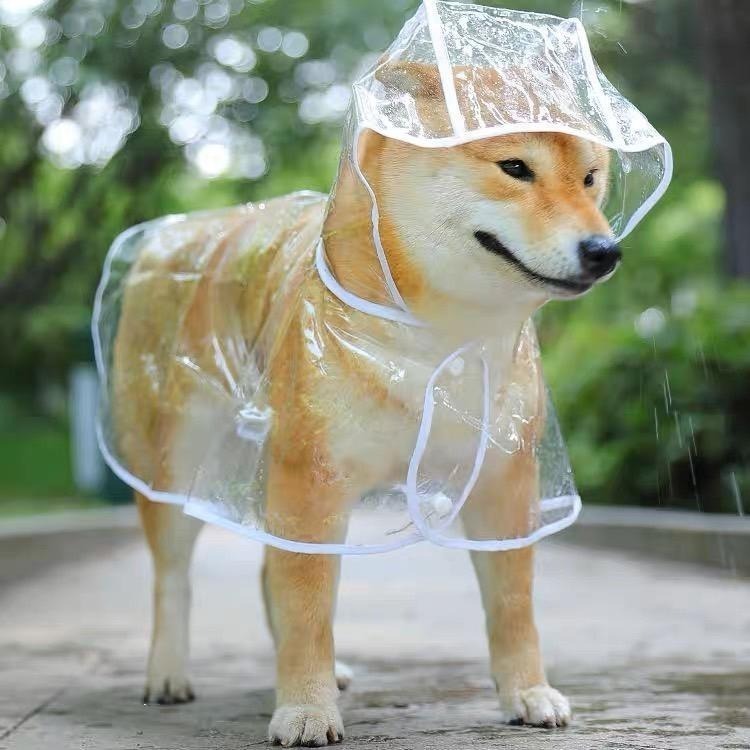 【汪喵森活】 透明寵物雨衣 2色 披風雨衣 斗篷雨衣 簡易雨衣 狗雨衣 寵物雨衣 柴犬 柯基 米克斯 邊境 法鬥 雪納瑞-細節圖6