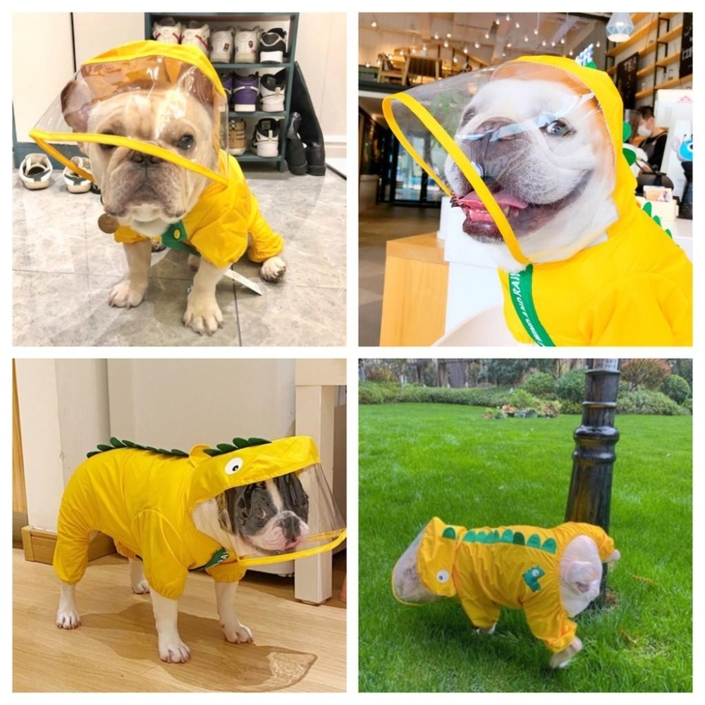 【汪喵森活】 法鬥雨衣 寵物雨衣 恐龍雨衣 四腳全包 雨衣 法鬥 狗雨衣 巴哥犬 英鬥 鬥牛犬 惡霸犬 八哥 寵物外出-細節圖9