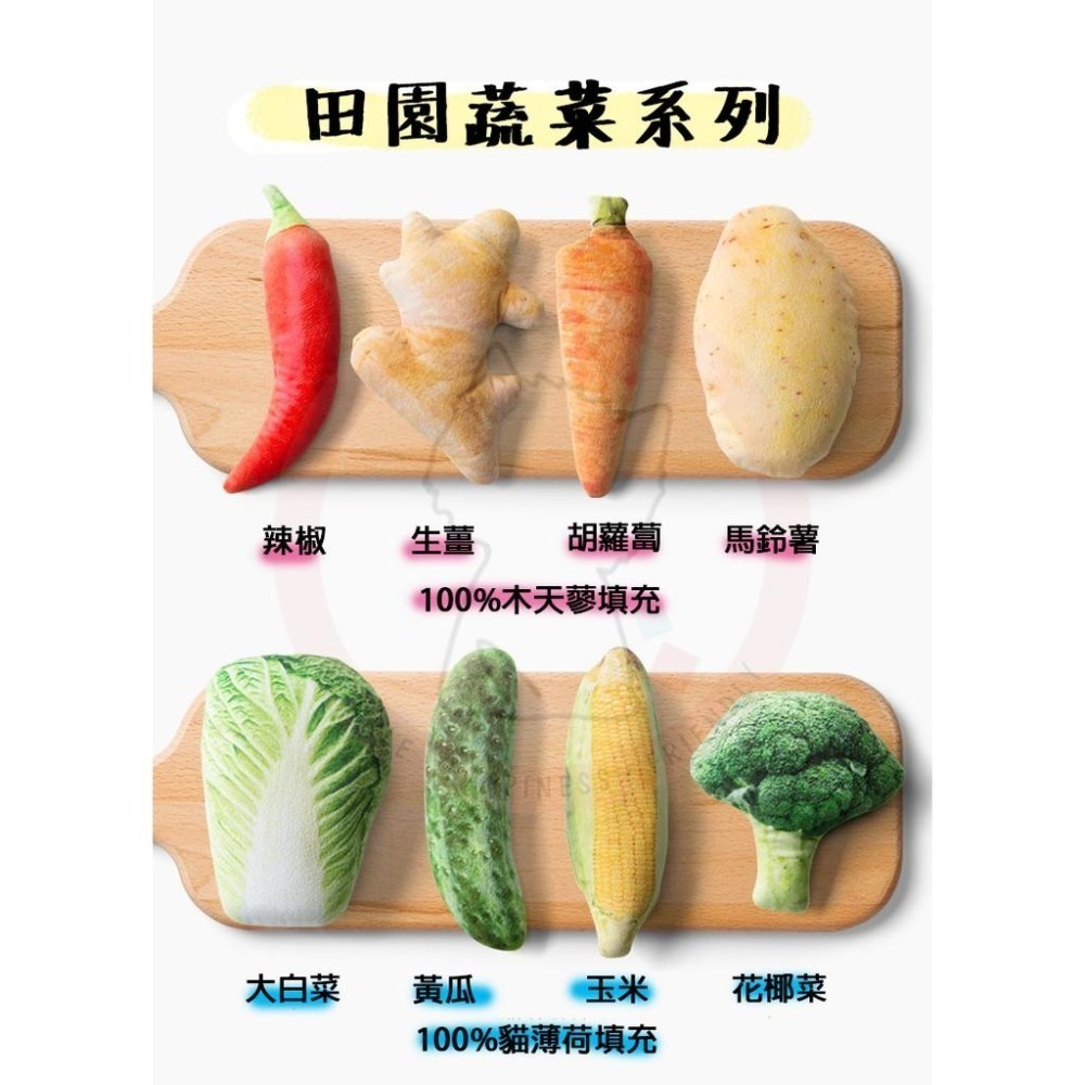 【汪喵森活】 100%貓薄荷填充 木天蓼 貓薄荷 仿生鮮 填充玩具 貓草包 貓玩具 仿真貓薄荷魚 抱枕玩具 貓抱枕 貓咪-細節圖4