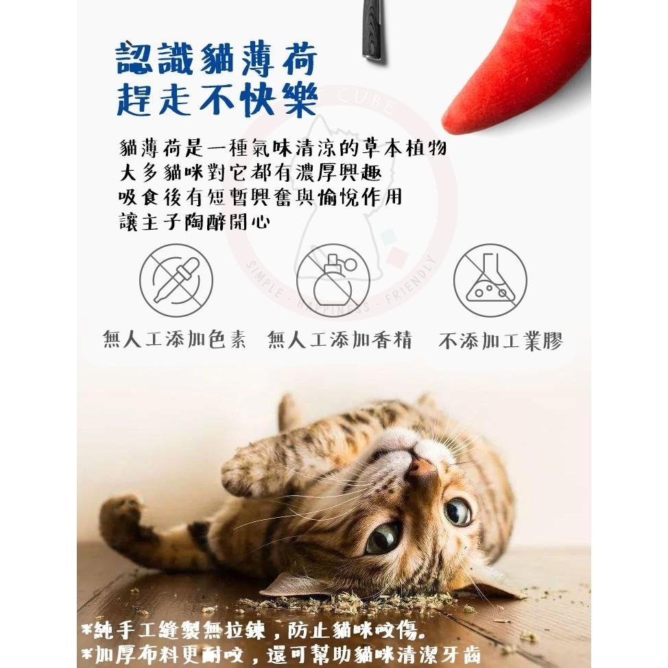 【汪喵森活】 100%貓薄荷填充 木天蓼 貓薄荷 仿生鮮 填充玩具 貓草包 貓玩具 仿真貓薄荷魚 抱枕玩具 貓抱枕 貓咪-細節圖8