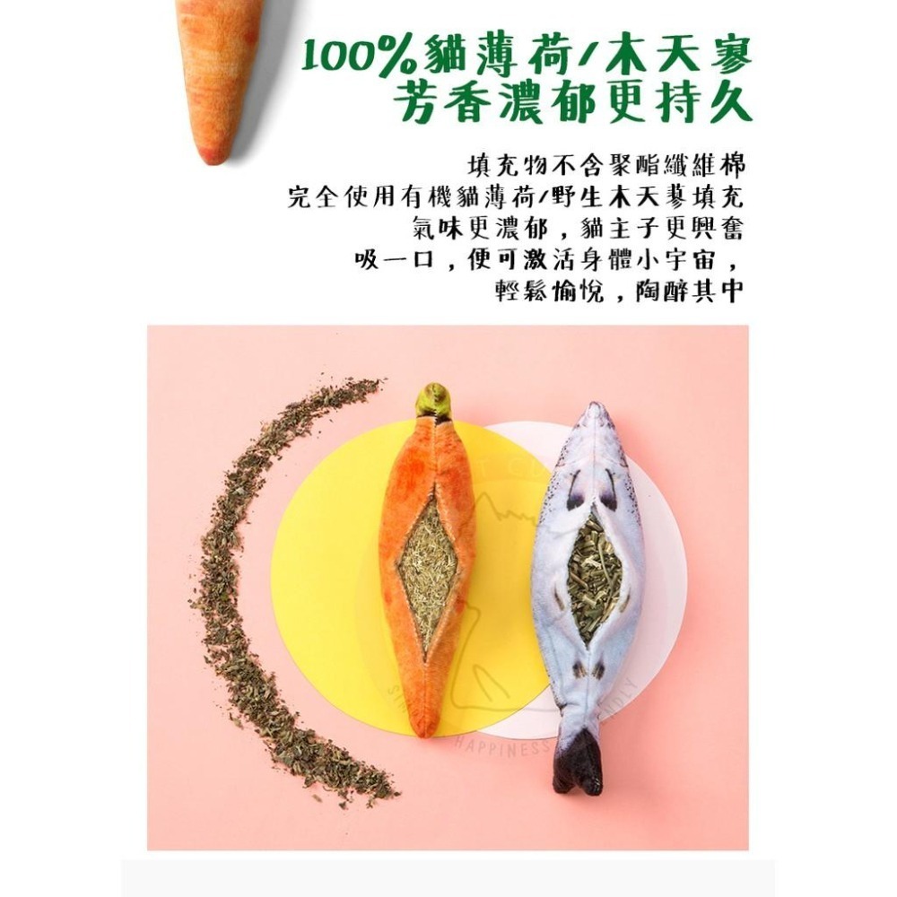 【汪喵森活】 100%貓薄荷填充 木天蓼 貓薄荷 仿生鮮 填充玩具 貓草包 貓玩具 仿真貓薄荷魚 抱枕玩具 貓抱枕 貓咪-細節圖6