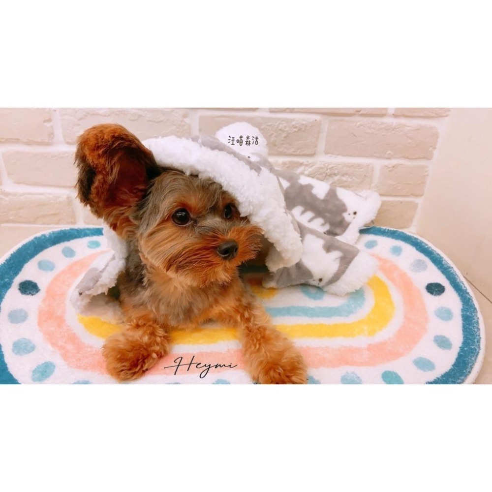 【汪喵森活】白熊睡袍 寵物睡衣 寵物披風 寵物睡袍 秋冬服飾 狗衣服 貴賓 柴犬 米克斯 比熊 柯基 睡衣 睡袍 披風-細節圖9