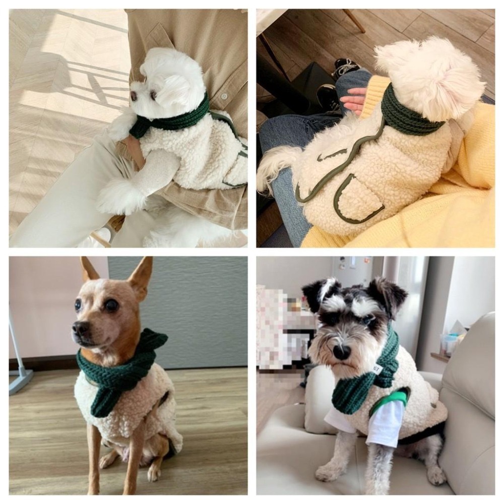 【汪喵森活】2色 毛絨背心 送圍巾 寵物背心 寵物圍巾 秋冬服飾 狗衣服 比熊 博美 貴賓 貓咪 吉娃娃 雪納瑞 西施-細節圖6
