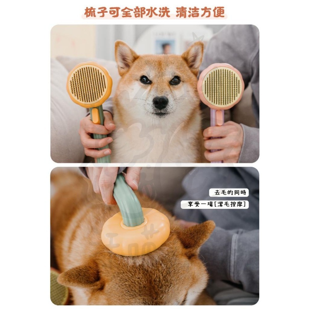 【汪喵森活】 南瓜梳 小蜜蜂寵物針梳 南瓜寵物針梳 一鍵除毛 寵物針梳 美容梳 寵物除毛梳 貓梳 狗梳  寵物梳子-細節圖7