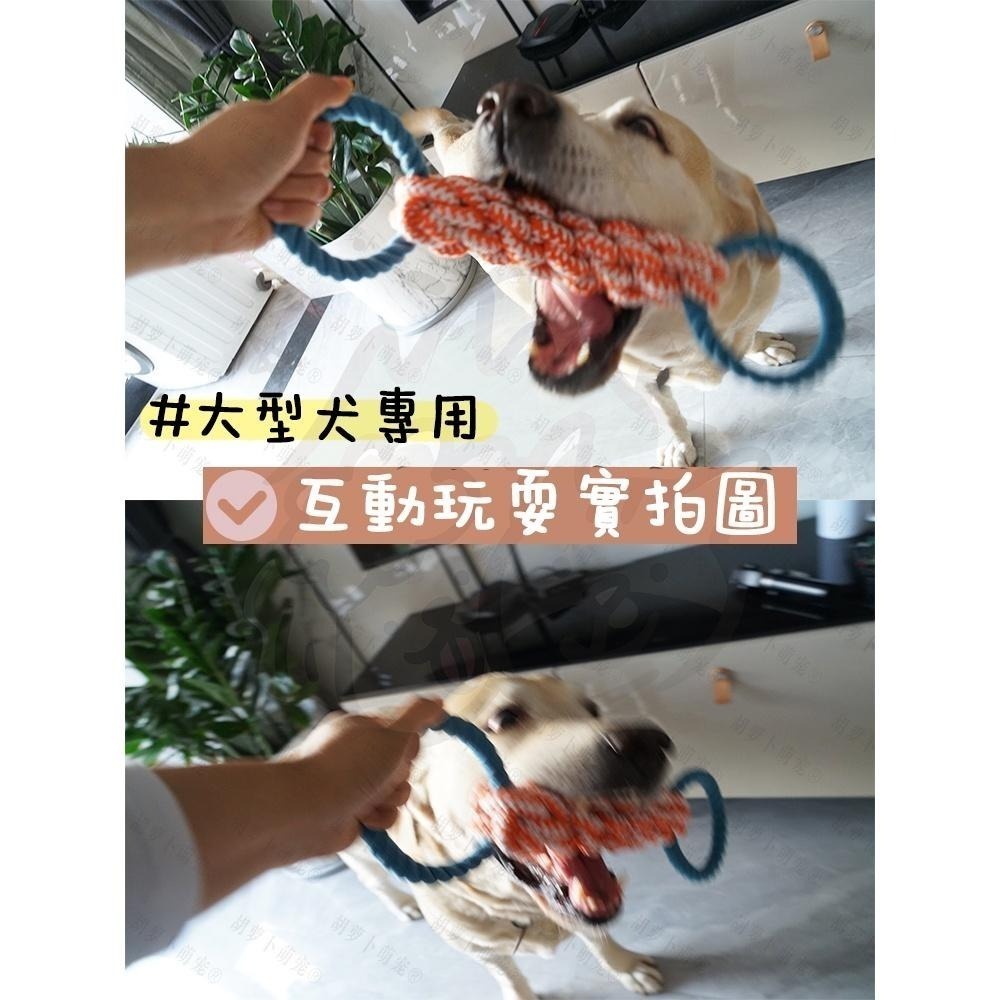 【汪喵森活】 寵物玩具 中大型犬 拉環玩具 繩結玩具 互動玩具 磨牙玩具 咬咬玩具 狗磨牙 陪伴玩具 狗玩具 黃金獵犬-細節圖3