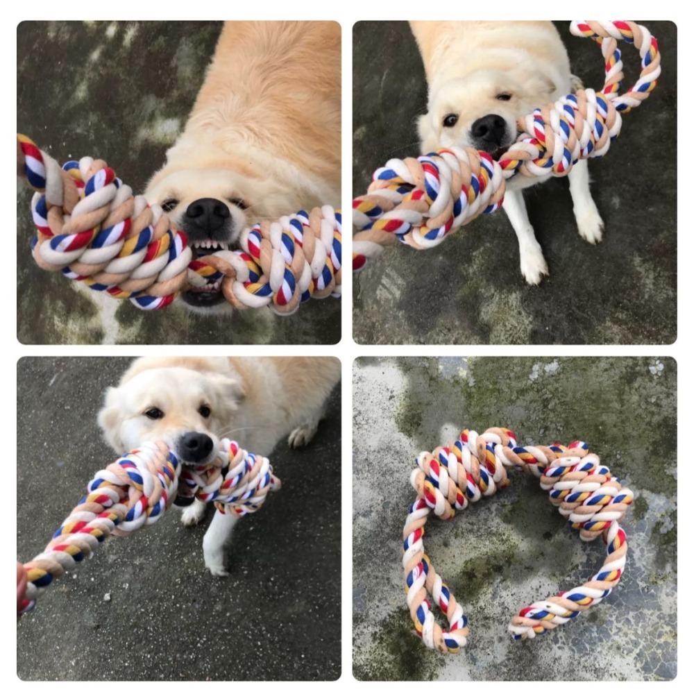 【汪喵森活】 寵物玩具 中大型犬 拉環玩具 繩結玩具 互動玩具 磨牙玩具 咬咬玩具 狗磨牙 陪伴玩具 狗玩具 黃金獵犬-細節圖9