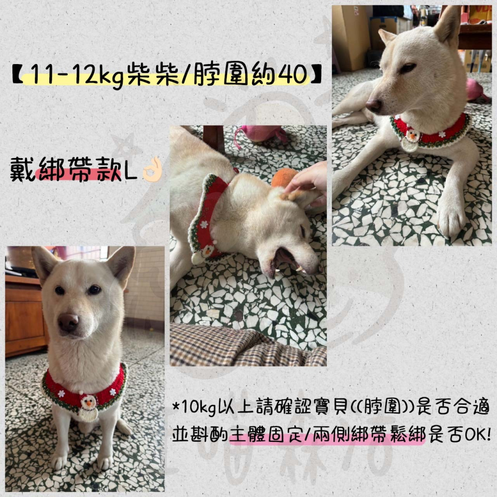 【汪喵森活】 寵物圍巾 綁帶＆鈕扣16款 小型犬 針織圍巾 聖誕圍巾 狗圍巾 狗圍脖 貓圍巾 寵物飾品 寵物配件 聖誕節-細節圖3