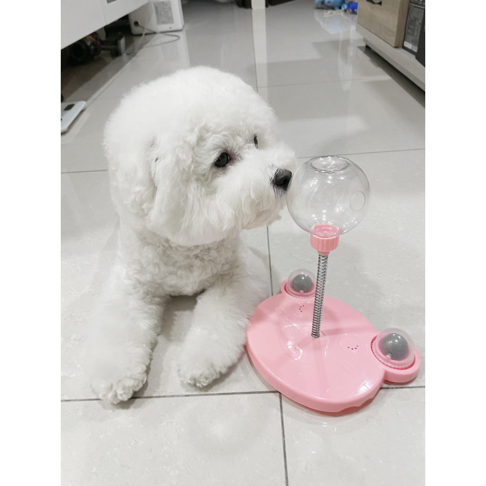 【汪喵森活】 漏食球 搖擺漏食球 寵物搖擺漏食球 解悶玩具 陪伴玩具 益智玩具 不倒翁玩具 貓狗玩具 藏食玩具球 貓糖-細節圖2