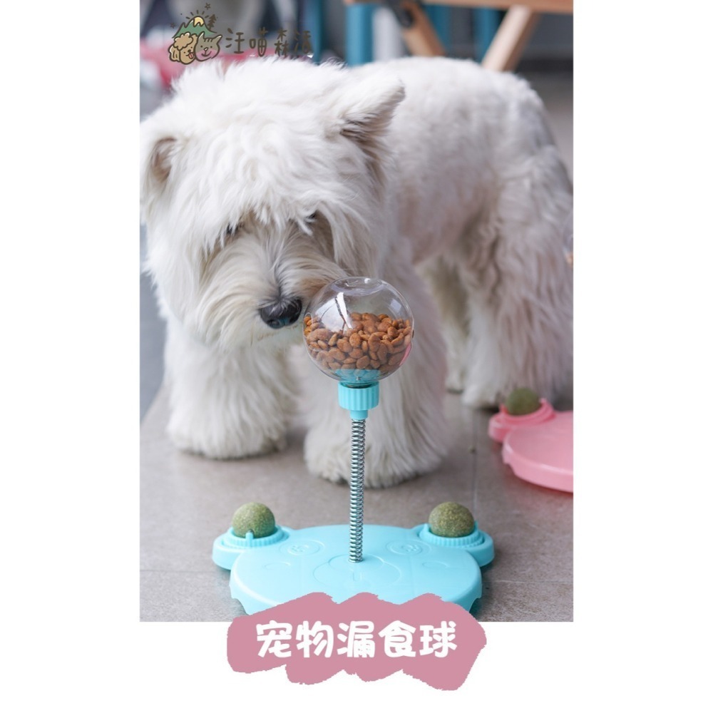 【汪喵森活】 漏食球 搖擺漏食球 寵物搖擺漏食球 解悶玩具 陪伴玩具 益智玩具 不倒翁玩具 貓狗玩具 藏食玩具球 貓糖-細節圖3
