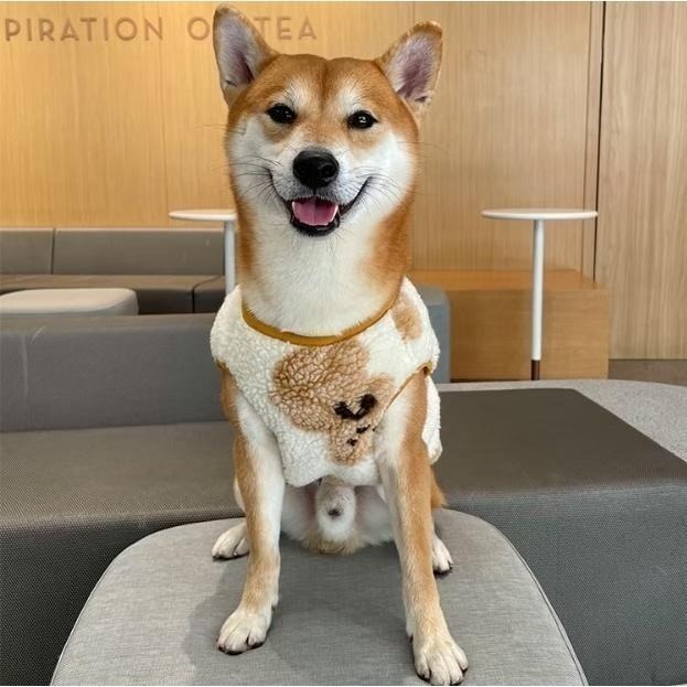 【汪喵森活】 泰迪熊背心 羊羔毛 28KG內 狗衣服 寵物衣服 秋冬服飾 米克斯 寵物背心 雪納瑞 西高地 比熊 柯基-細節圖8