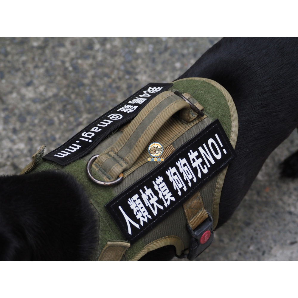 【汪喵森活】 魔鬼氈字貼 胸背帶字貼 客製字貼 文字貼 胸背帶側貼 魔鬼貼 魔術貼 魔術側貼 F7字貼 防走失 狗名牌-細節圖5
