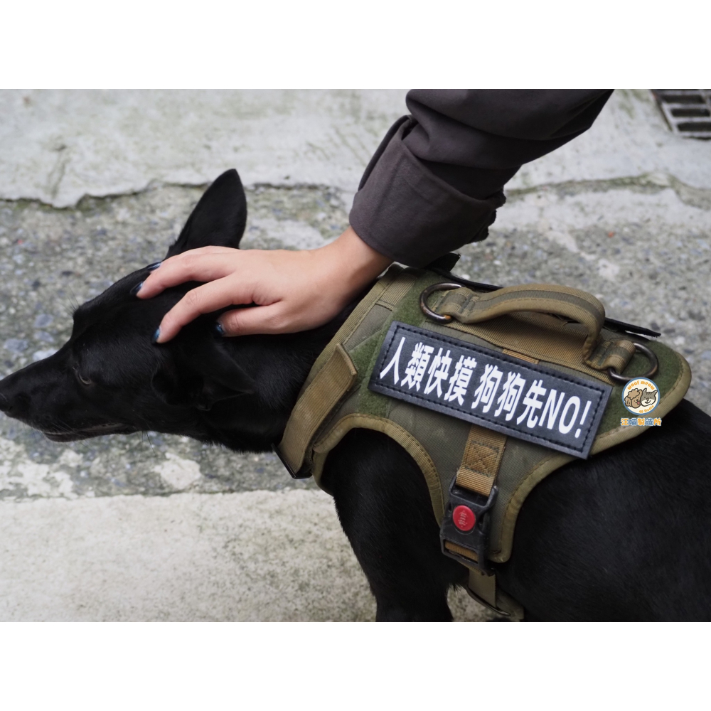 【汪喵森活】 魔鬼氈字貼 胸背帶字貼 客製字貼 文字貼 胸背帶側貼 魔鬼貼 魔術貼 魔術側貼 F7字貼 防走失 狗名牌-細節圖6