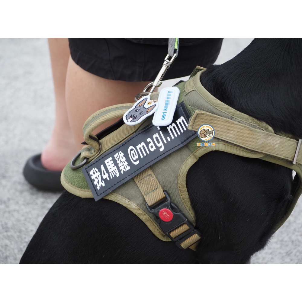 【汪喵森活】 魔鬼氈字貼 胸背帶字貼 客製字貼 文字貼 胸背帶側貼 魔鬼貼 魔術貼 魔術側貼 F7字貼 防走失 狗名牌-細節圖7