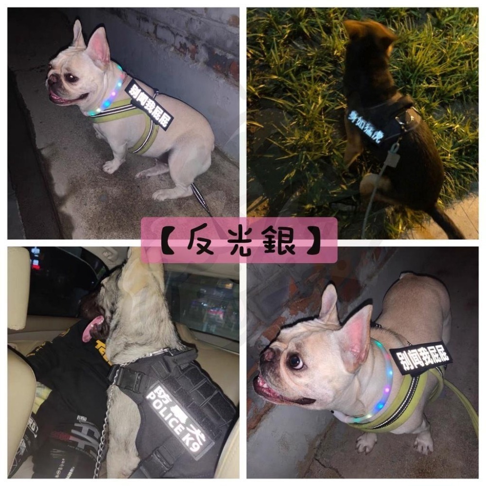 【汪喵森活】 魔鬼氈字貼 胸背帶字貼 客製字貼 文字貼 胸背帶側貼 魔鬼貼 魔術貼 魔術側貼 F7字貼 防走失 狗名牌-細節圖10