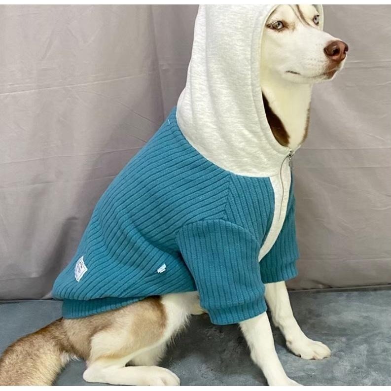 【汪喵森活】 陽光男孩 3色保暖連帽外套 秋冬服飾 黃金獵犬 拉不拉多 薩摩耶 西高地 法鬥 英鬥 米克斯 邊境 巨貴-細節圖4