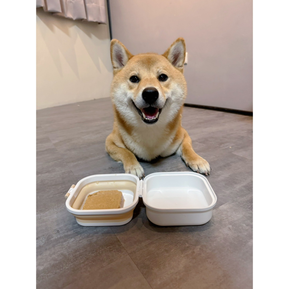 【汪喵森活】寵物收納碗 矽膠摺疊碗  外出便攜碗 二合一折疊碗 外出容器 雙碗 餵食 喝水 狗碗 寵物碗 外出碗 旅行碗-細節圖2