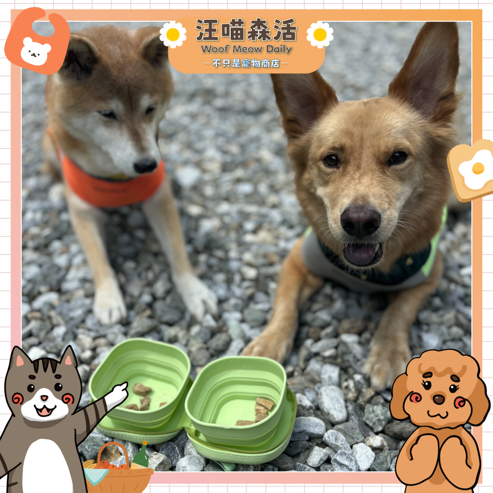 【汪喵森活】寵物收納碗 矽膠摺疊碗  外出便攜碗 二合一折疊碗 外出容器 雙碗 餵食 喝水 狗碗 寵物碗 外出碗 旅行碗-細節圖3