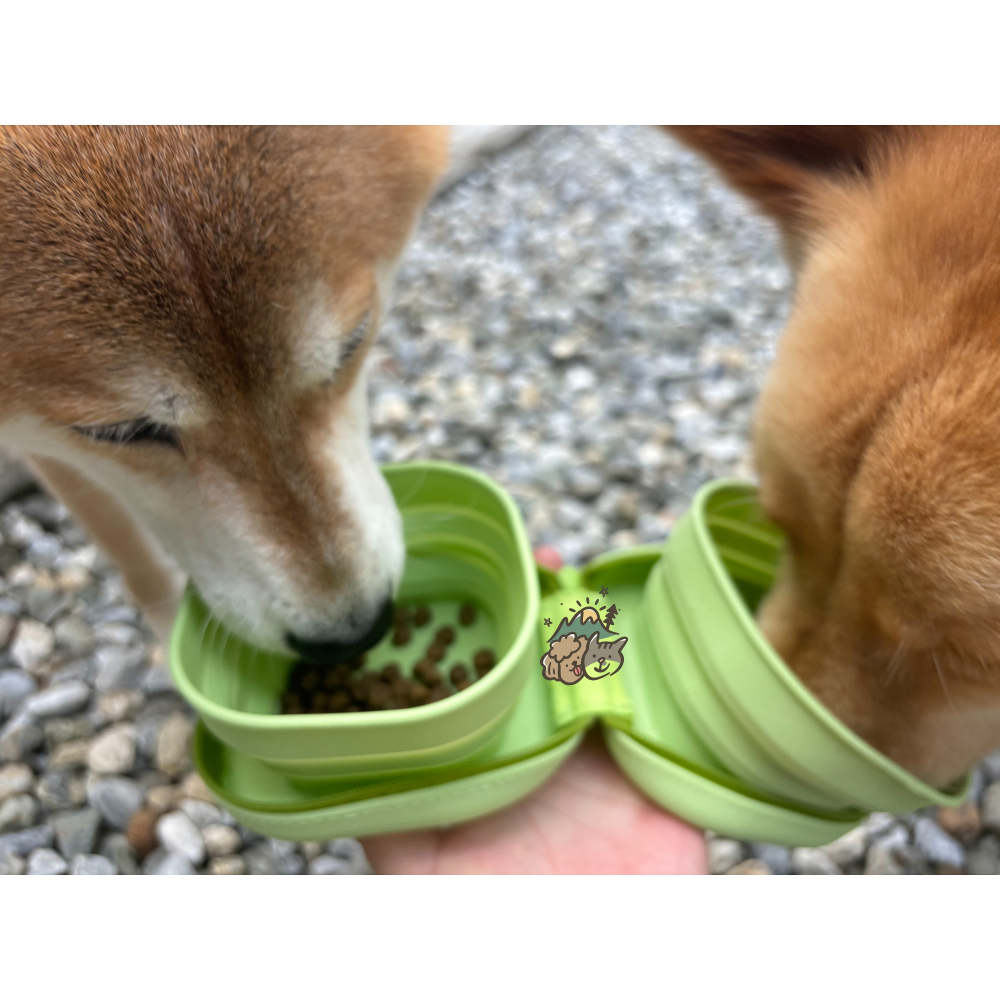 【汪喵森活】寵物收納碗 矽膠摺疊碗  外出便攜碗 二合一折疊碗 外出容器 雙碗 餵食 喝水 狗碗 寵物碗 外出碗 旅行碗-細節圖5