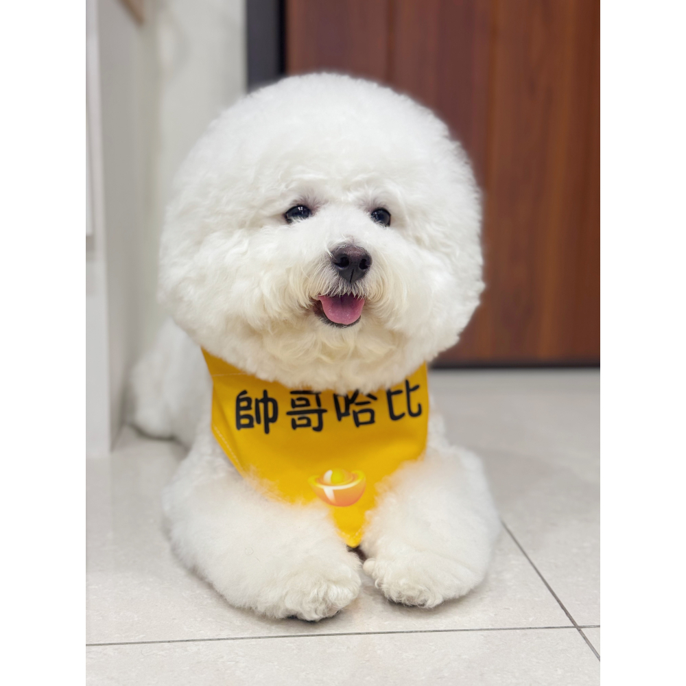 【汪喵森活】 寵物口水巾 23款 可愛圖案 寵物圍兜 狗狗三角巾 客製三角巾 客製口水巾 狗狗口水巾-細節圖5