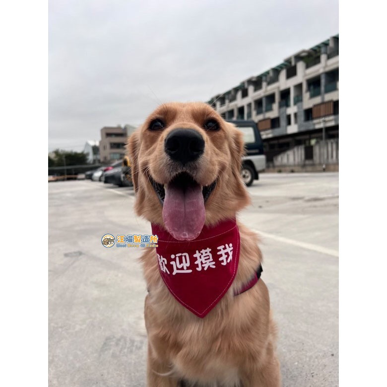 【汪喵森活】 純文字 雙面可戴 單面/雙面 寵物口水巾 寵物圍兜 狗三角巾 客製三角巾 客製口水巾 狗狗貓咪口水巾-細節圖3