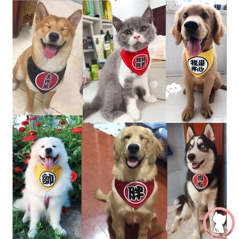 【汪喵森活】 純文字 雙面可戴 單面/雙面 寵物口水巾 寵物圍兜 狗三角巾 客製三角巾 客製口水巾 狗狗貓咪口水巾-細節圖7