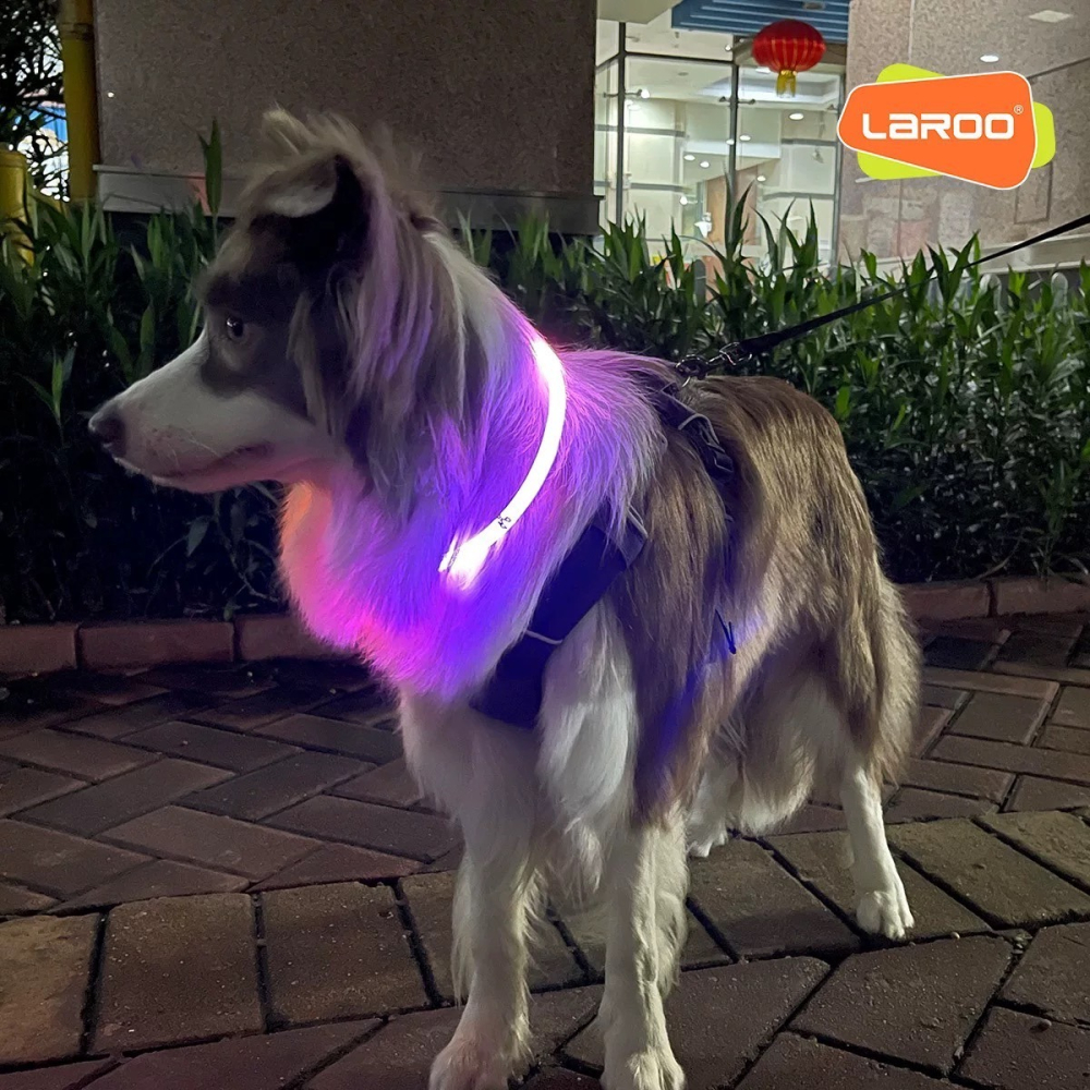 【汪喵森活】 寵物發光項圈 LED項圈 夜間遛狗 散步 寵物發光環 LED環 發亮環 寵物警示燈 晚上出門 LED發光-細節圖9