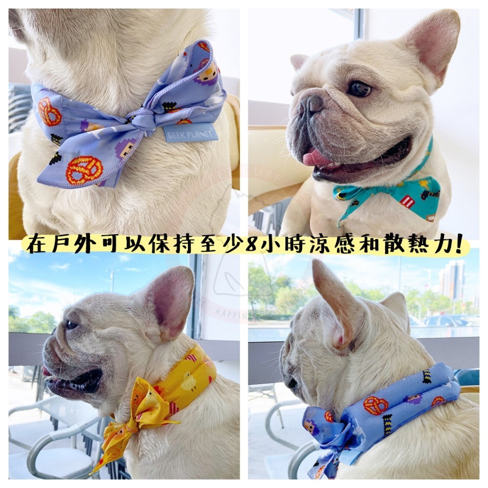 【汪喵森活】 寵物涼感圍脖 寵物降溫 涼感圍脖 寵物冰圍脖 狗冰涼圍脖 降溫圍脖 涼感圍巾 消暑圍巾 涼感巾 涼巾 領巾-細節圖6