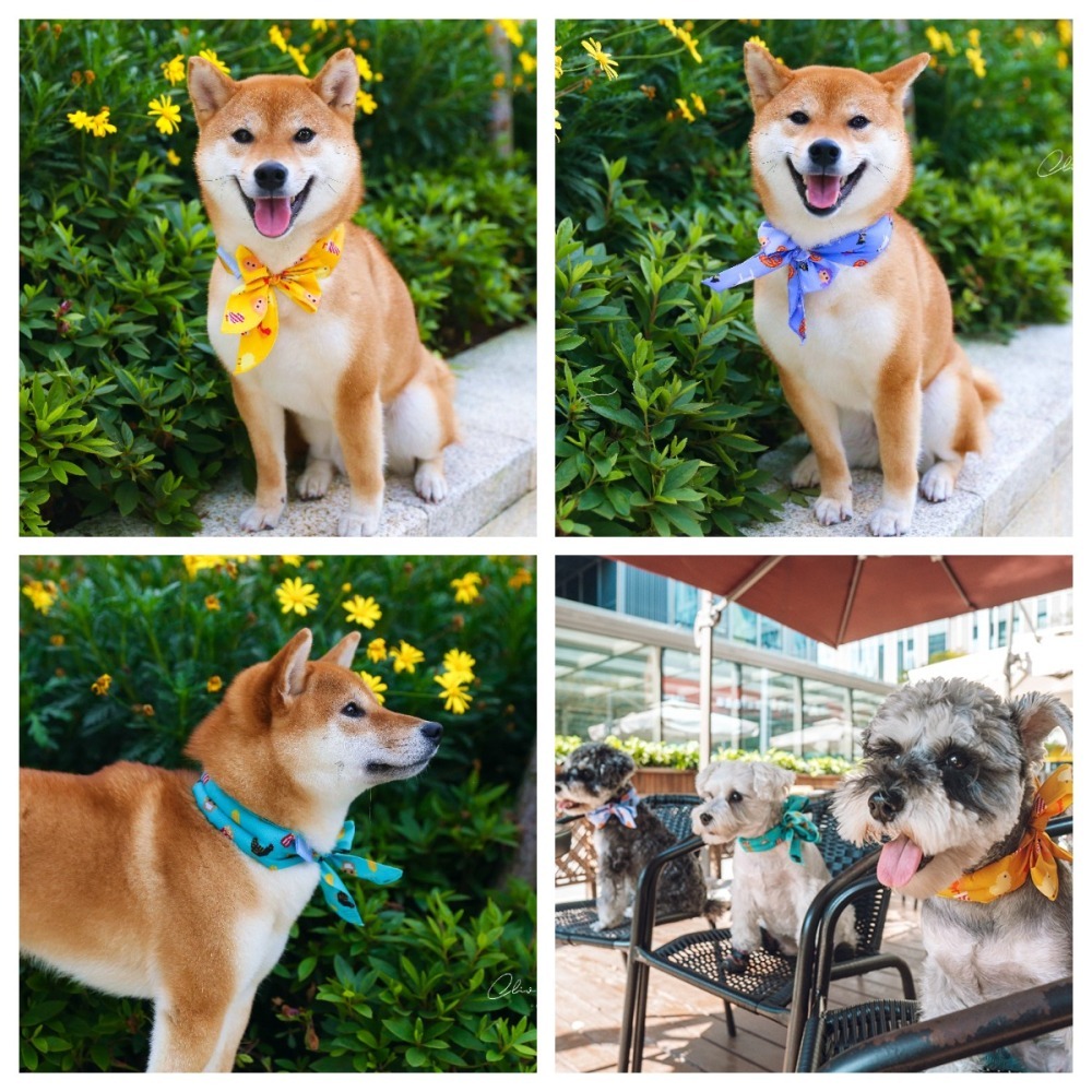 【汪喵森活】 寵物涼感圍脖 寵物降溫 涼感圍脖 寵物冰圍脖 狗冰涼圍脖 降溫圍脖 涼感圍巾 消暑圍巾 涼感巾 涼巾 領巾-細節圖8