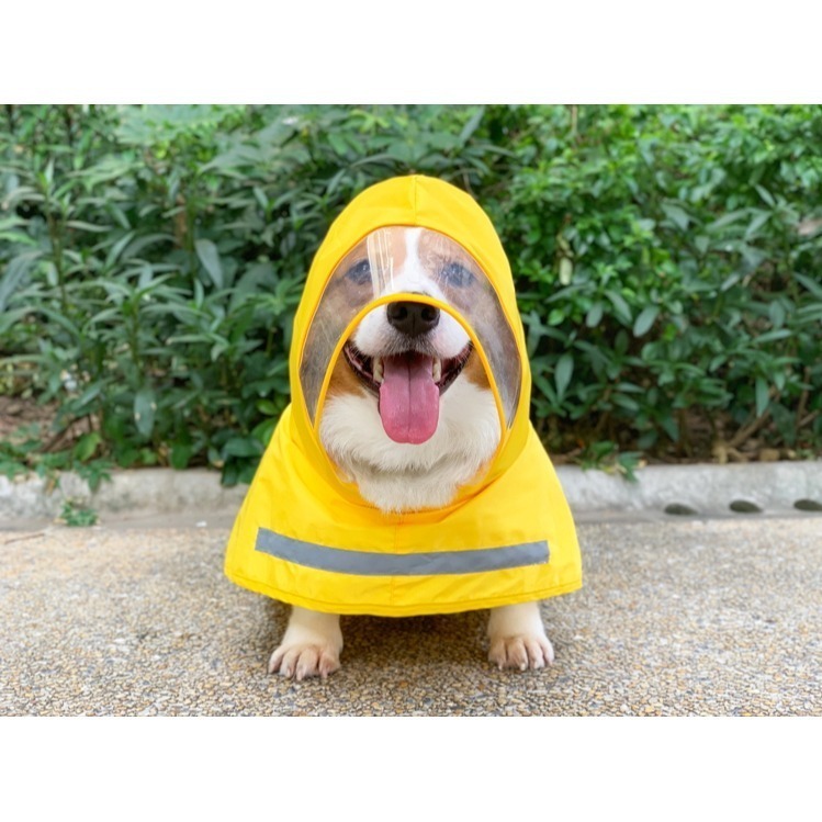 【汪喵森活】 寵物雨衣 5-28KG 含包肚 披風雨衣 雨衣 斗篷 柯基 柴犬 比熊 雪納瑞 西高地 狗雨衣 米克斯-細節圖6