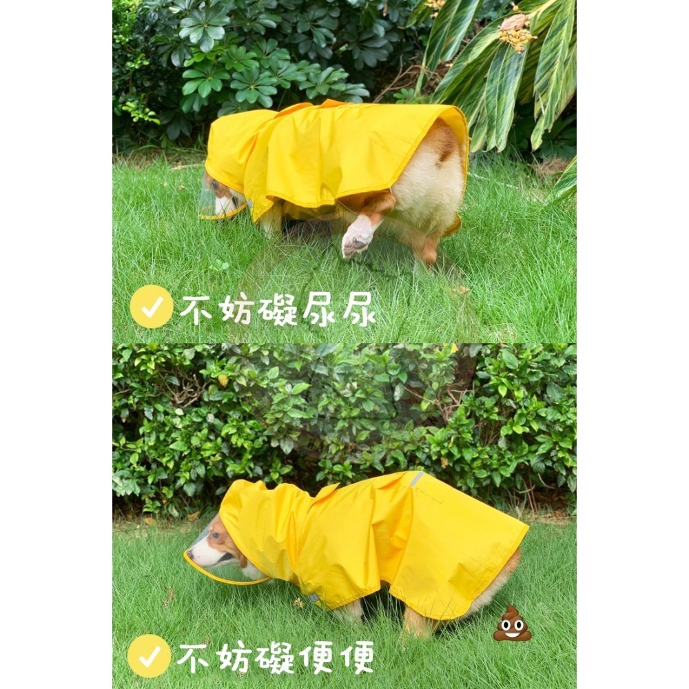 【汪喵森活】 寵物雨衣 5-28KG 含包肚 披風雨衣 雨衣 斗篷 柯基 柴犬 比熊 雪納瑞 西高地 狗雨衣 米克斯-細節圖10
