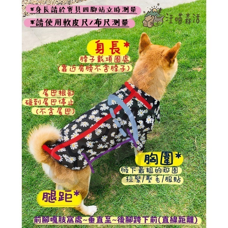 【汪喵森活】 寵物雨衣 5-28KG 含包肚 披風雨衣 雨衣 斗篷 柯基 柴犬 比熊 雪納瑞 西高地 狗雨衣 米克斯-細節圖3