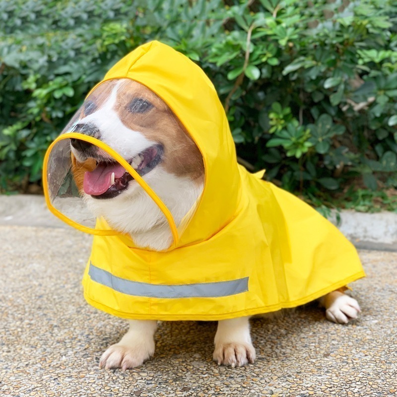 【汪喵森活】 寵物雨衣 5-28KG 含包肚 披風雨衣 雨衣 斗篷 柯基 柴犬 比熊 雪納瑞 西高地 狗雨衣 米克斯-細節圖11