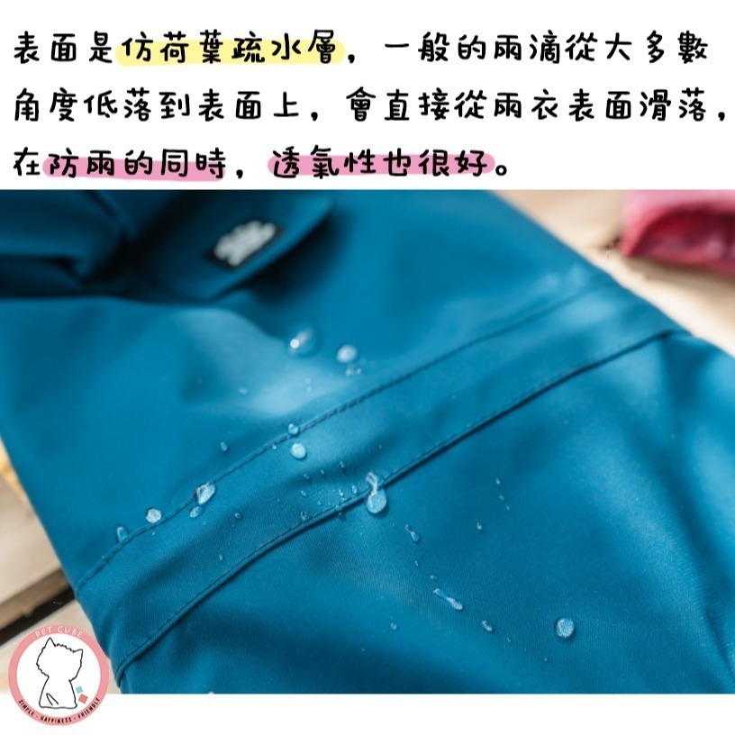 【汪喵森活】 小狗狗 小型犬雨衣 寵物雨衣 四腳全包 狗雨衣 雨衣 貴賓狗 馬爾濟斯 比熊 雪納瑞 西施 博美 西高地-細節圖8
