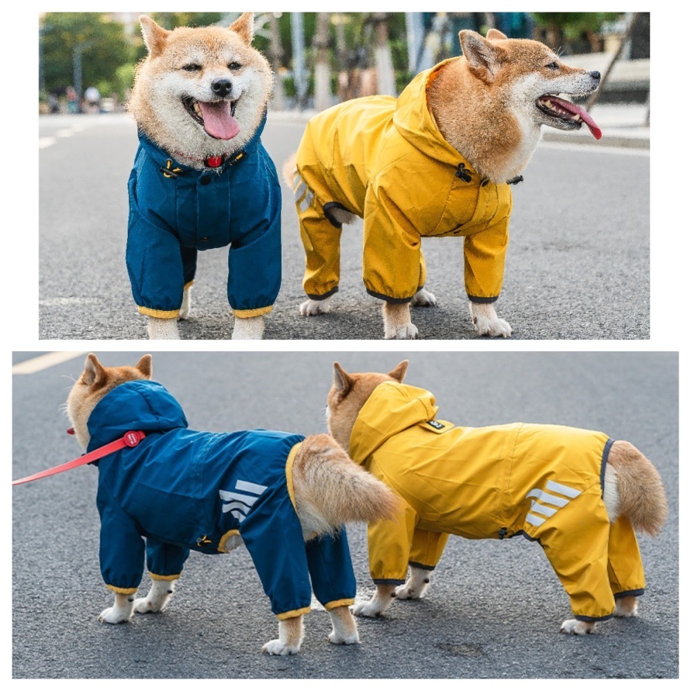 【汪喵森活】 小狗狗 小型犬雨衣 寵物雨衣 四腳全包 狗雨衣 雨衣 貴賓狗 馬爾濟斯 比熊 雪納瑞 西施 博美 西高地-細節圖11