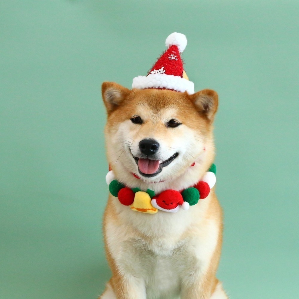 【汪喵森活】 聖誕節 4款30kg內 球球項鍊 寵物圍巾 聖誕老人 麋鹿 聖誕樹 拐杖 聖誕圍巾 狗圍巾 狗圍脖 貓圍巾-細節圖5