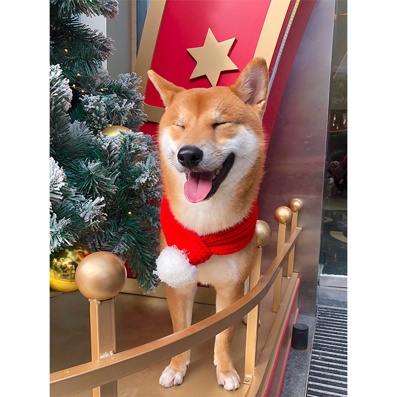 【汪喵森活】 寵物圍巾 針織圍巾 毛球 聖誕圍巾 狗圍巾 狗圍脖 貓圍巾 寵物飾品 寵物配件 貓圍巾 聖誕節 過年新春-細節圖3