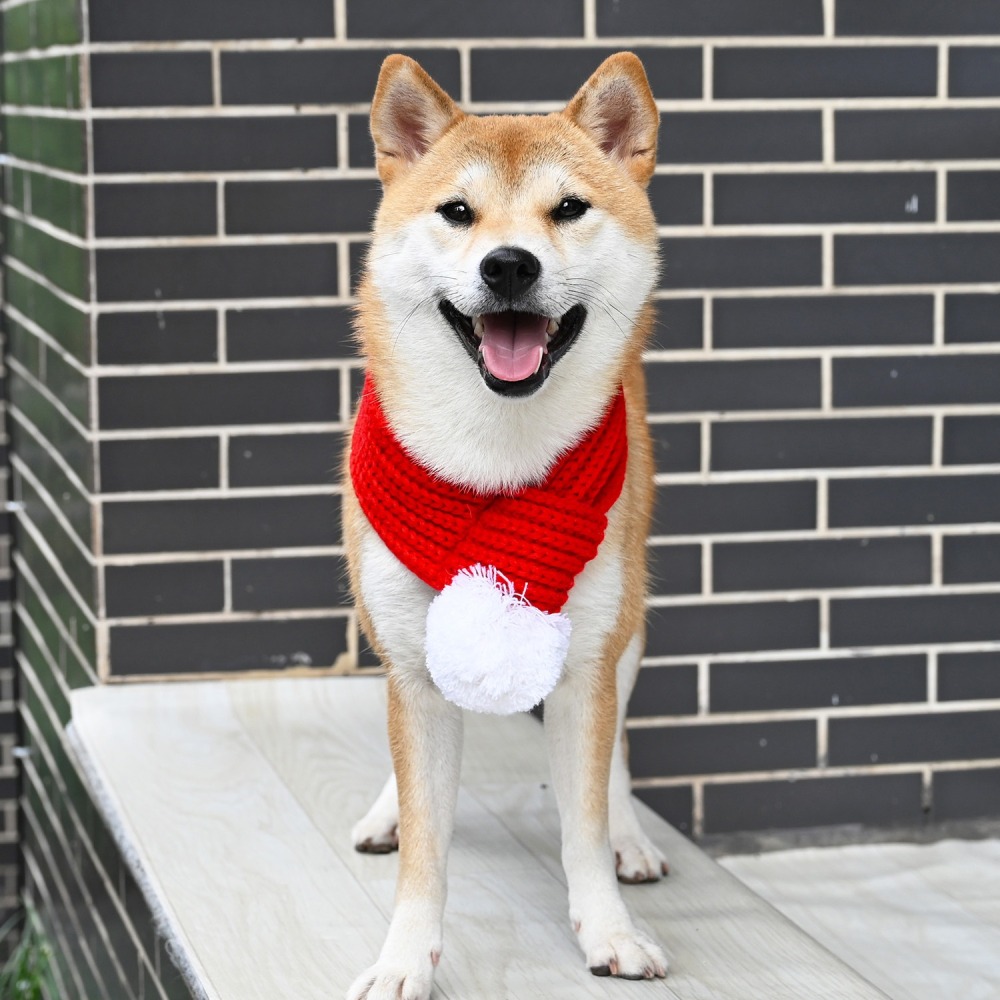 【汪喵森活】 寵物圍巾 針織圍巾 毛球 聖誕圍巾 狗圍巾 狗圍脖 貓圍巾 寵物飾品 寵物配件 貓圍巾 聖誕節 過年新春-細節圖8