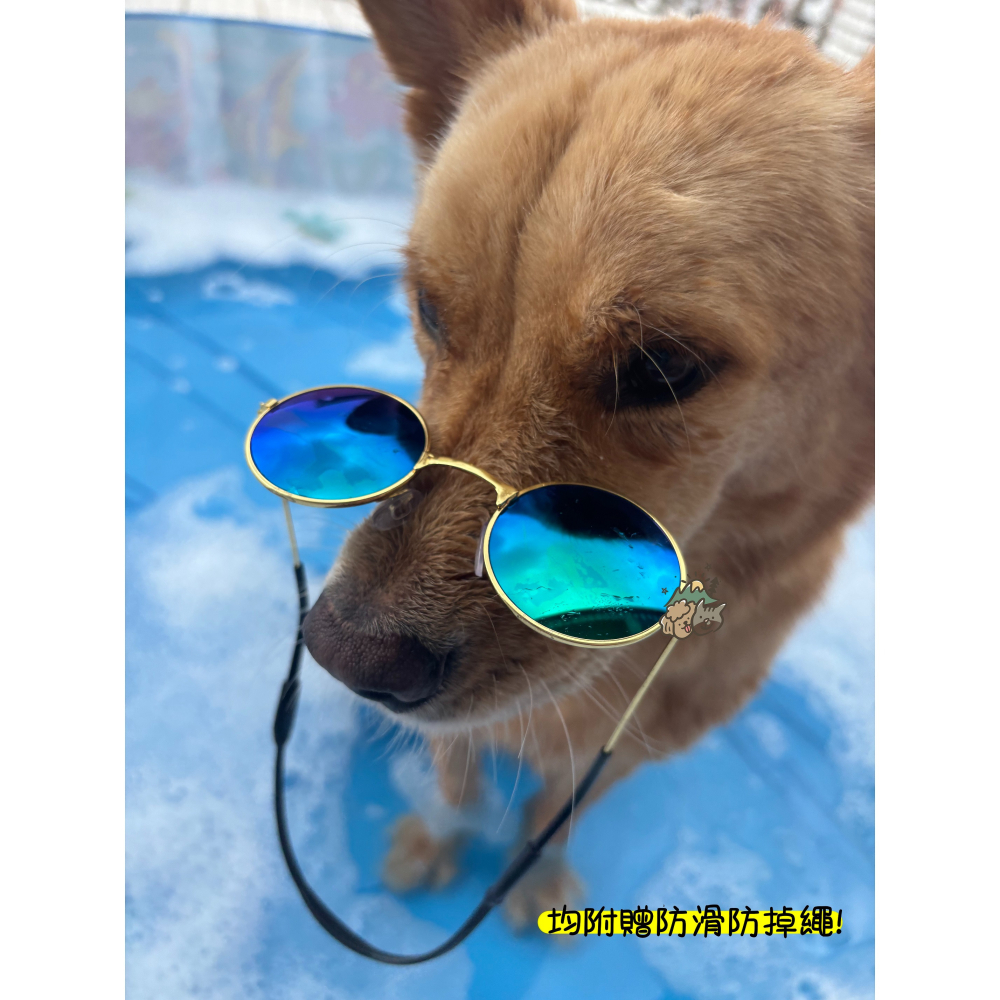 【汪喵森活】 寵物墨鏡 寵物眼鏡 貓咪眼鏡 拍照 寵物頭飾 狗狗墨鏡 狗狗眼鏡 貓咪墨鏡 寵物變裝 貓墨鏡 狗墨鏡 變裝-細節圖2