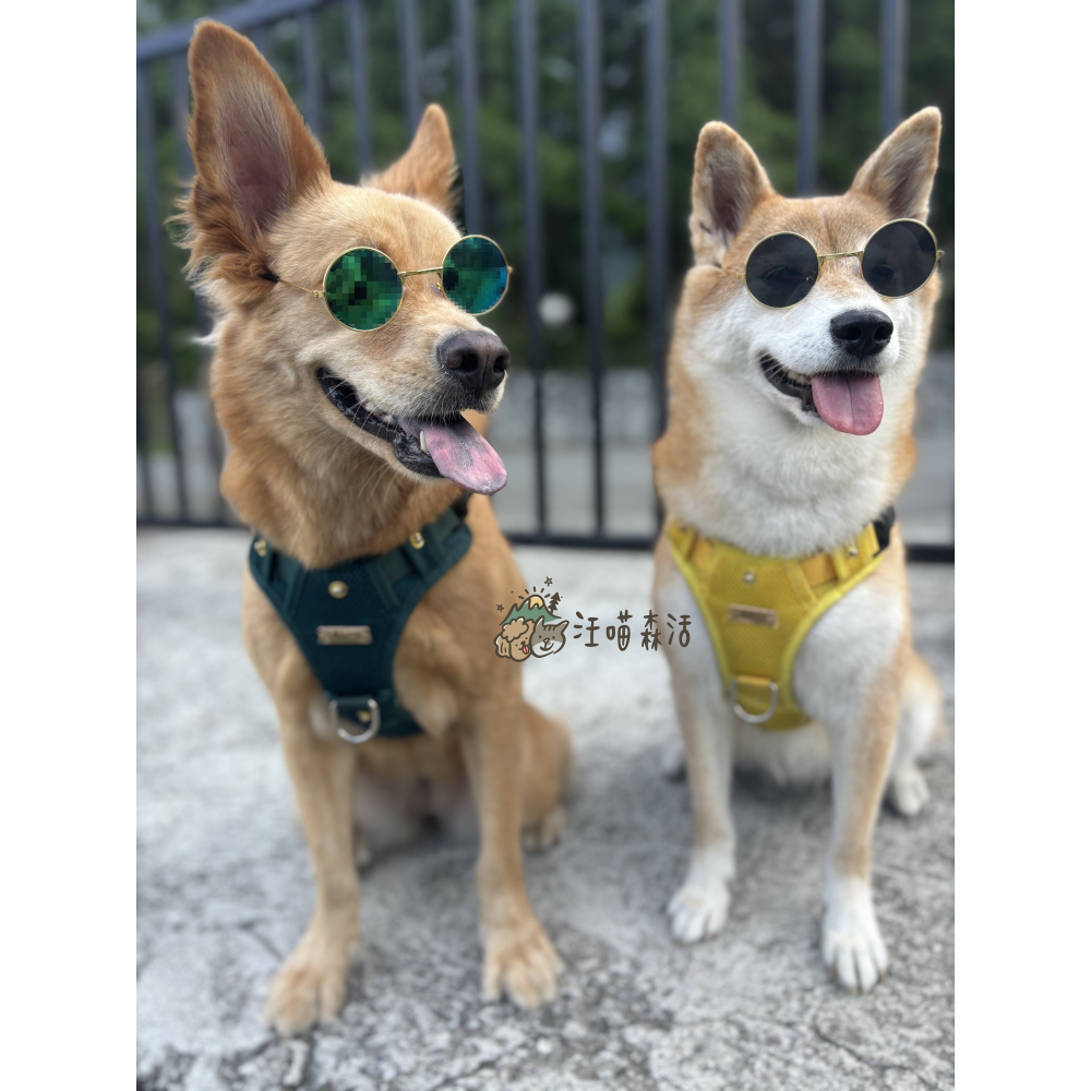 【汪喵森活】 寵物墨鏡 寵物眼鏡 貓咪眼鏡 拍照 寵物頭飾 狗狗墨鏡 狗狗眼鏡 貓咪墨鏡 寵物變裝 貓墨鏡 狗墨鏡 變裝-細節圖3