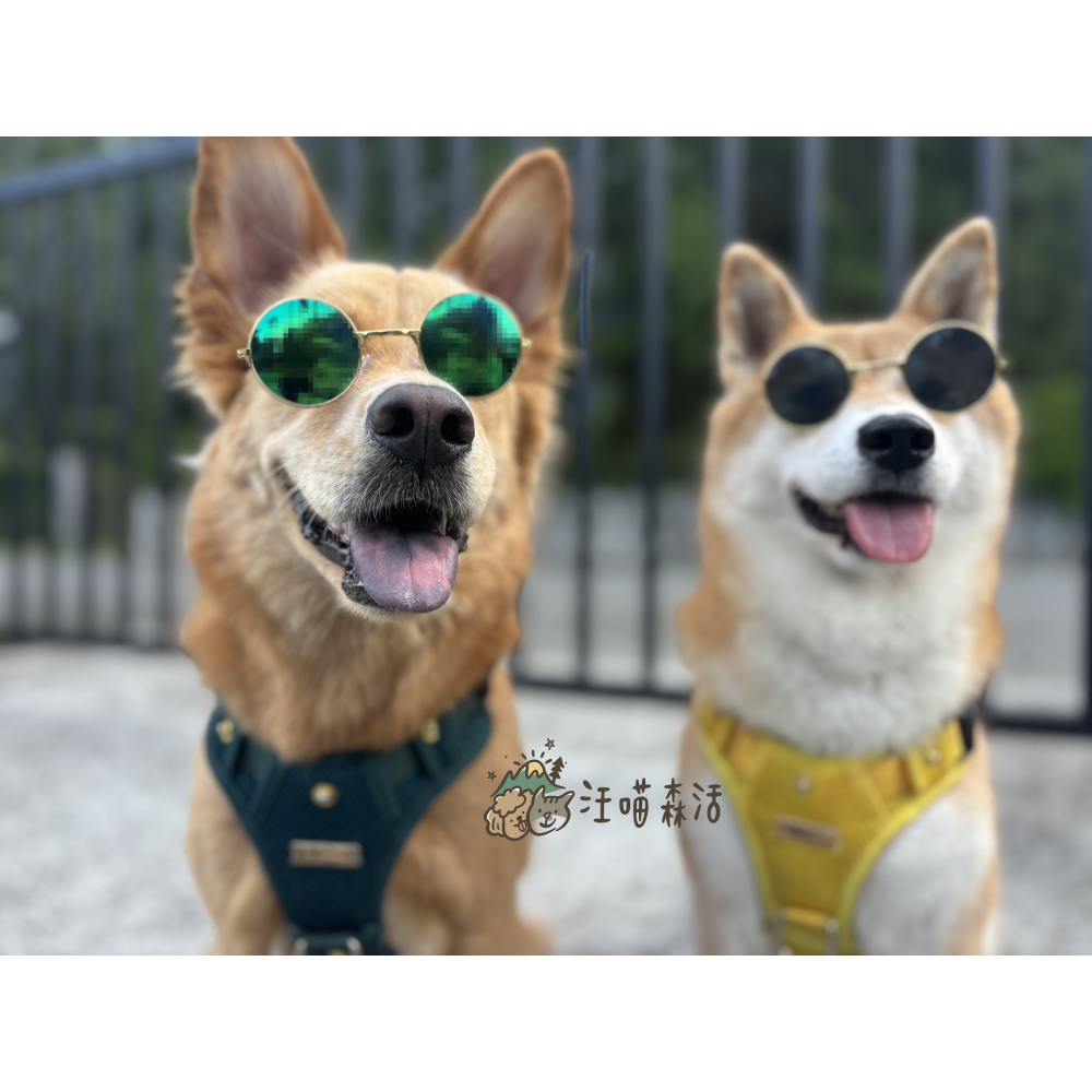 【汪喵森活】 寵物墨鏡 寵物眼鏡 貓咪眼鏡 拍照 寵物頭飾 狗狗墨鏡 狗狗眼鏡 貓咪墨鏡 寵物變裝 貓墨鏡 狗墨鏡 變裝-細節圖4