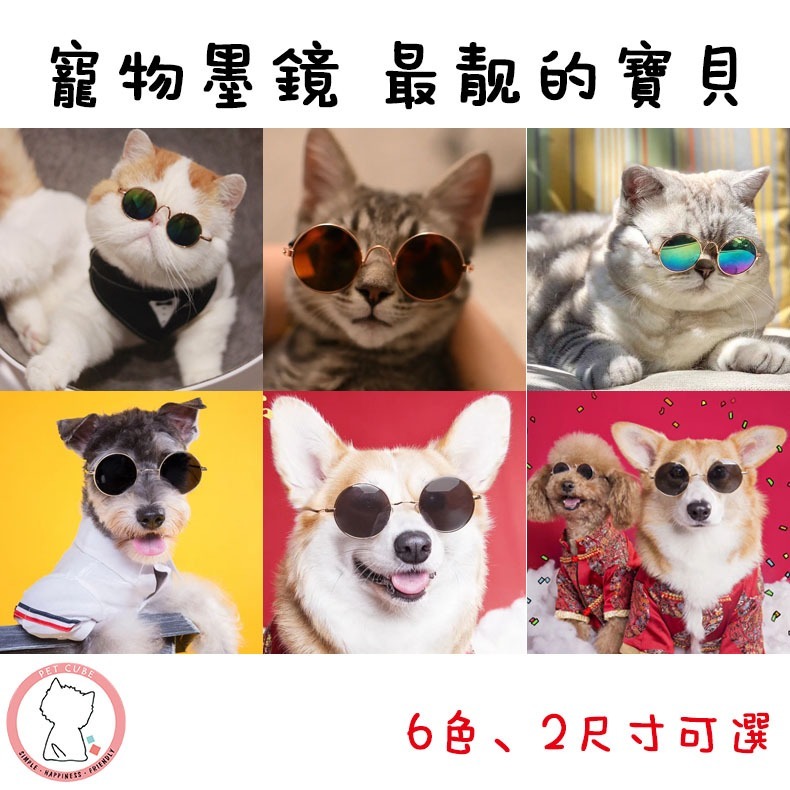 【汪喵森活】 寵物墨鏡 寵物眼鏡 貓咪眼鏡 拍照 寵物頭飾 狗狗墨鏡 狗狗眼鏡 貓咪墨鏡 寵物變裝 貓墨鏡 狗墨鏡 變裝-細節圖5