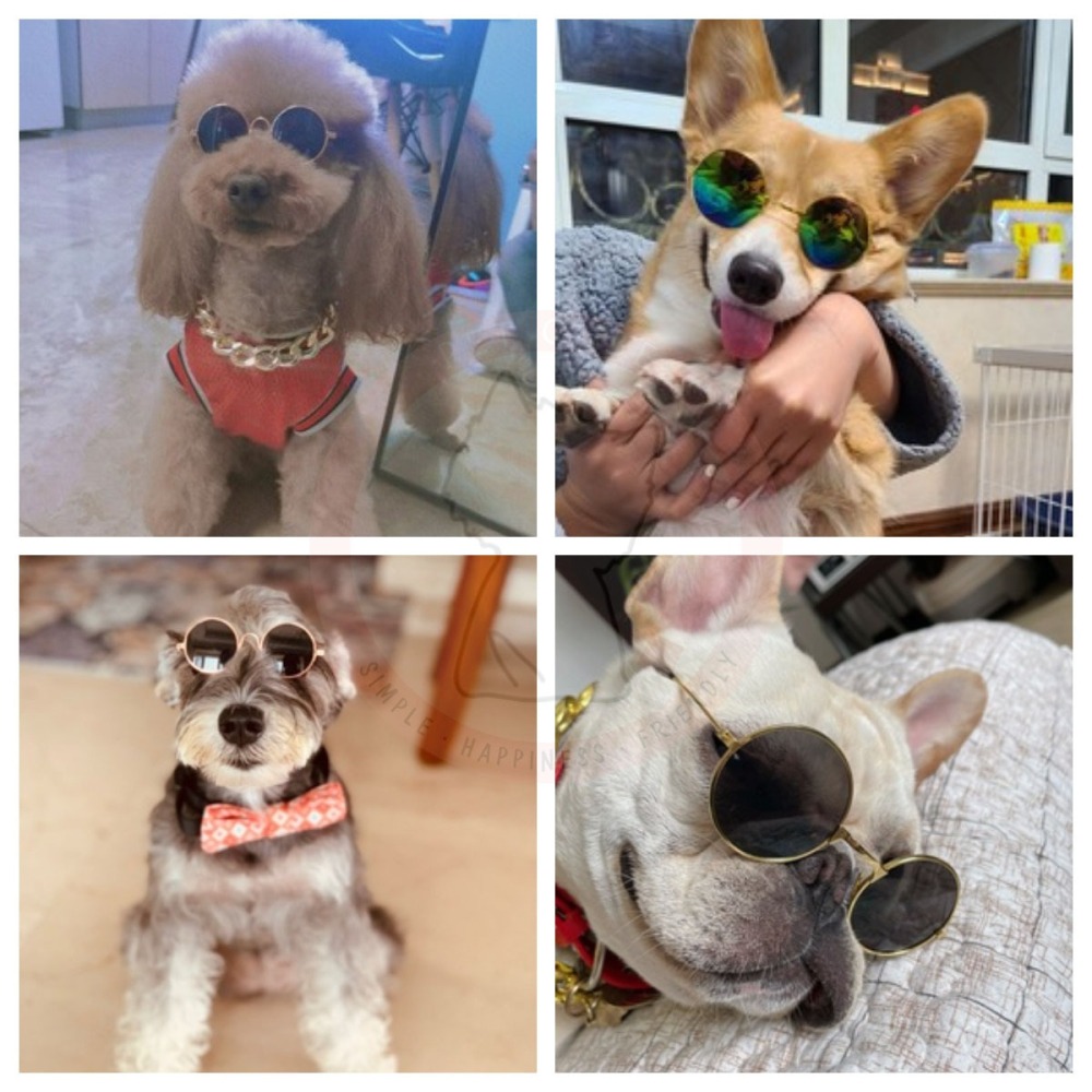 【汪喵森活】 寵物墨鏡 寵物眼鏡 貓咪眼鏡 拍照 寵物頭飾 狗狗墨鏡 狗狗眼鏡 貓咪墨鏡 寵物變裝 貓墨鏡 狗墨鏡 變裝-細節圖10