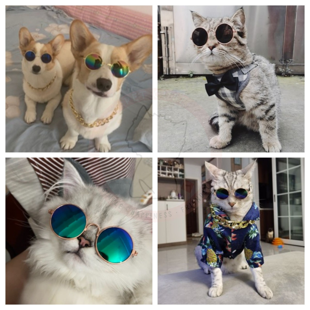 【汪喵森活】 寵物墨鏡 寵物眼鏡 貓咪眼鏡 拍照 寵物頭飾 狗狗墨鏡 狗狗眼鏡 貓咪墨鏡 寵物變裝 貓墨鏡 狗墨鏡 變裝-細節圖9
