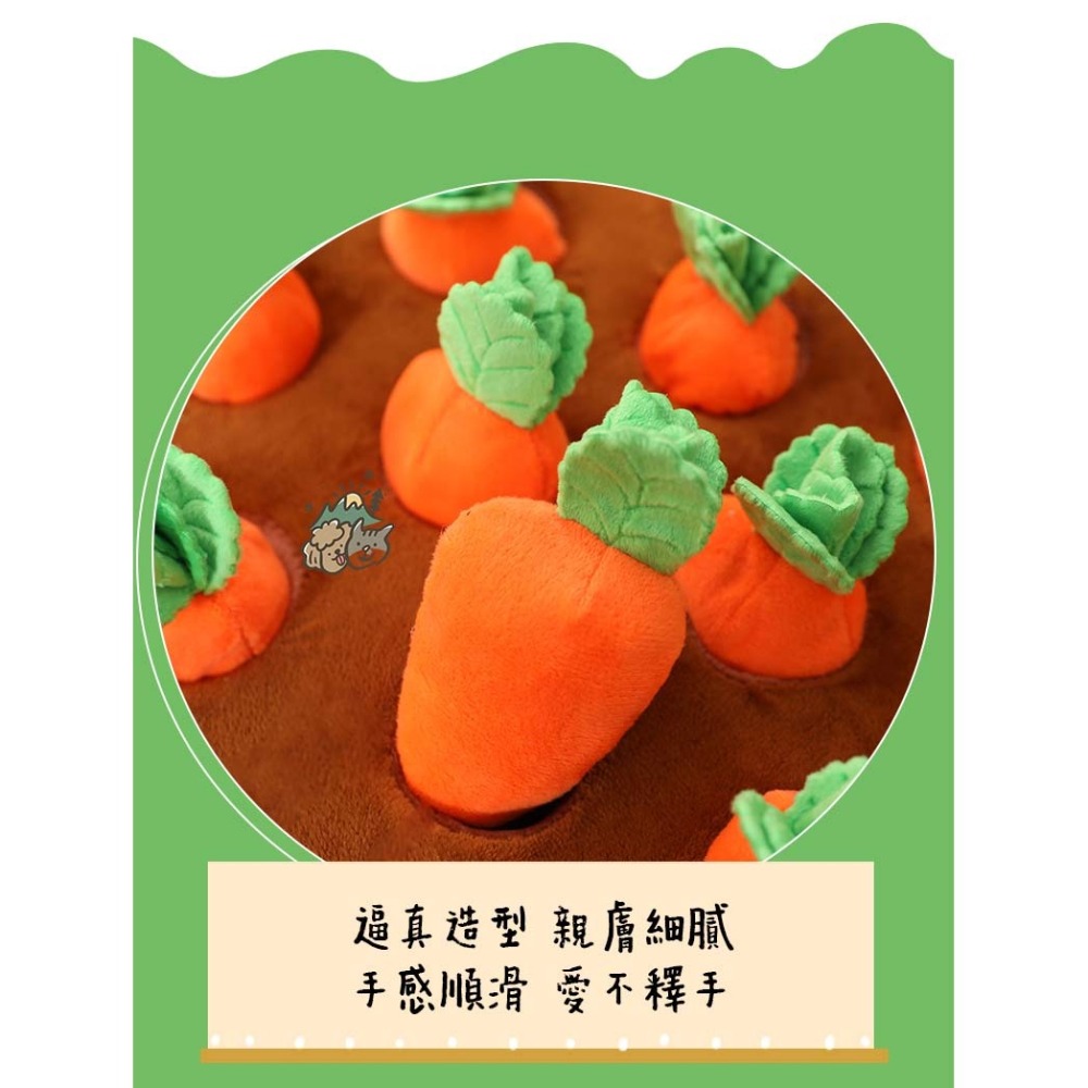 【汪喵森活】 蘿蔔 狗玩具 拔蘿蔔 蘿蔔田 拔蘿蔔 紅蘿蔔 蘿蔔玩具 寵物玩具 蘿蔔田地 採蘿蔔 嗅聞益智玩具 嗅覺玩具-細節圖10